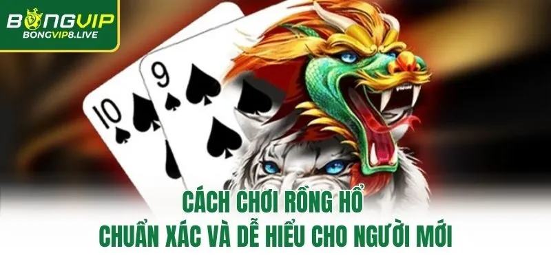Cách Chơi Rồng Hổ Chuẩn Xác Và Dễ Hiểu Cho Người Mới
