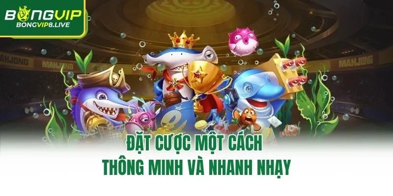 Đặt cược một cách thông minh và nhanh nhạy