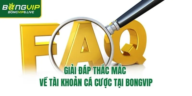 Giải đáp thắc mắc về tài khoản cá cược tại Bongvip