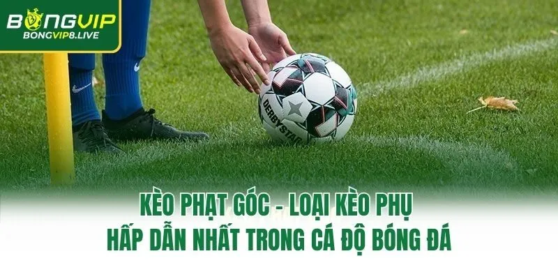 Kèo Phạt Góc - Loại Kèo Phụ Hấp Dẫn Nhất Trong Cá Độ Bóng Đá