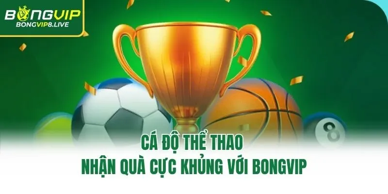 Cá độ thể thao nhận quà cực khủng với Bongvip
